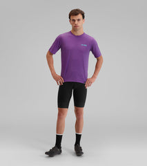 Verbena Purple