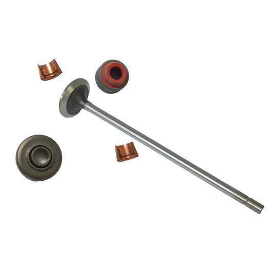 KIT DE VÁLVULAS DE ESCAPE