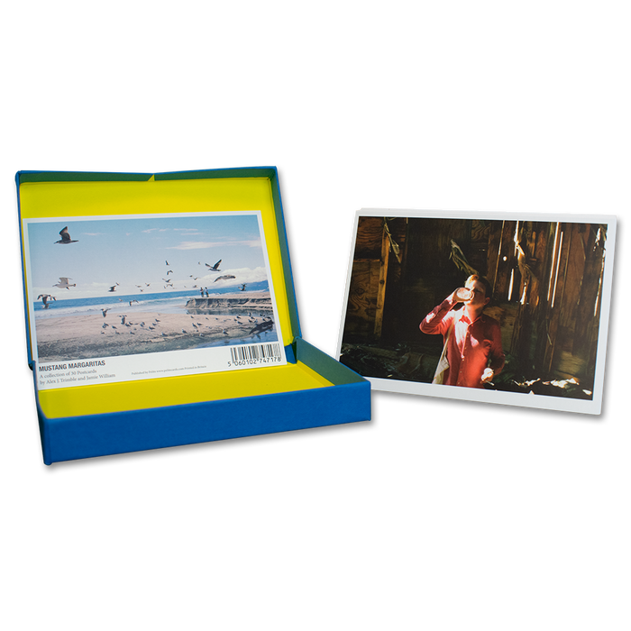 Two Door Cinema Club - Mustang Margaritas Postcard Set